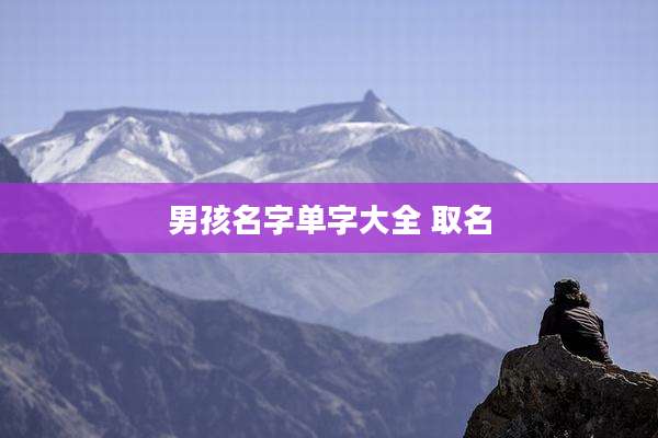 男孩名字单字大全 取名