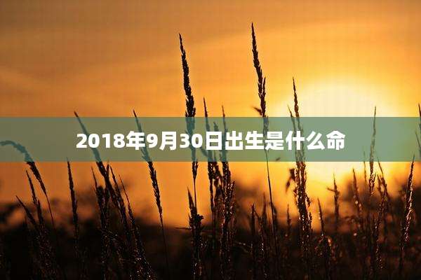 2018年9月30日出生是什么命
