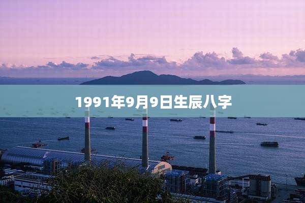 1991年9月9日生辰八字