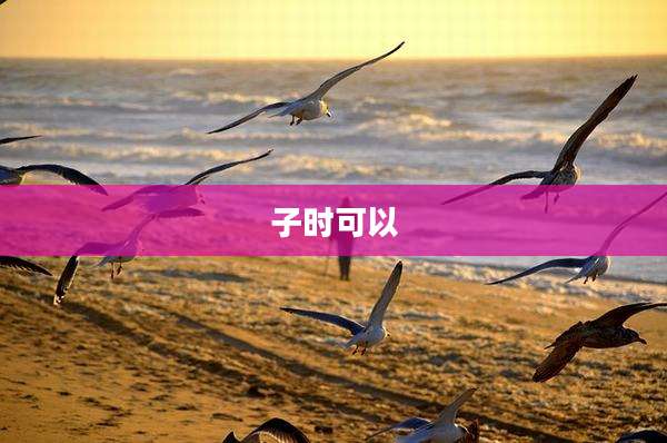 子时可以