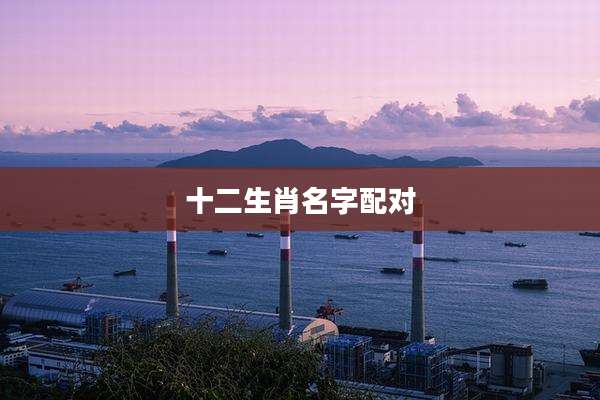 十二生肖名字配对