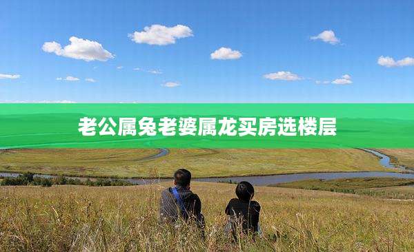老公属兔老婆属龙买房选楼层