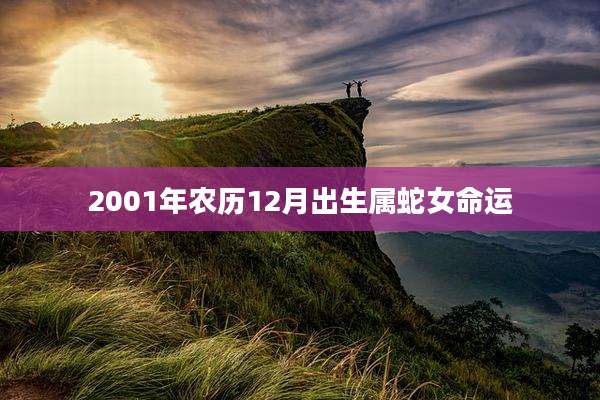 2001年农历12月出生属蛇女命运