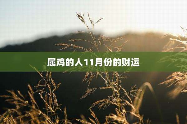 属鸡的人11月份的财运