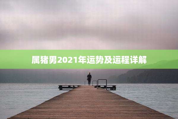 属猪男2021年运势及运程详解