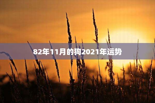 82年11月的狗2021年运势
