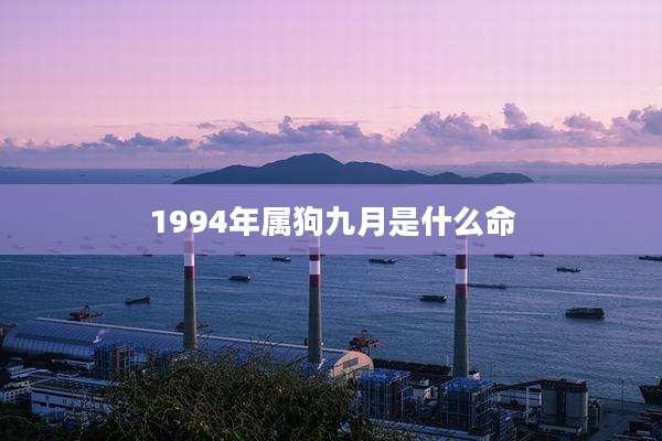 1994年属狗九月是什么命