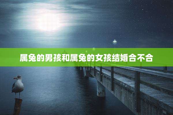 属兔的男孩和属兔的女孩结婚合不合