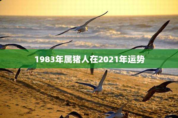 1983年属猪人在2021年运势