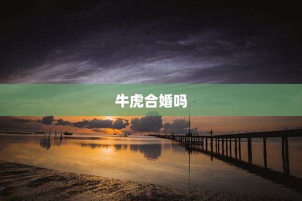 牛虎合婚吗