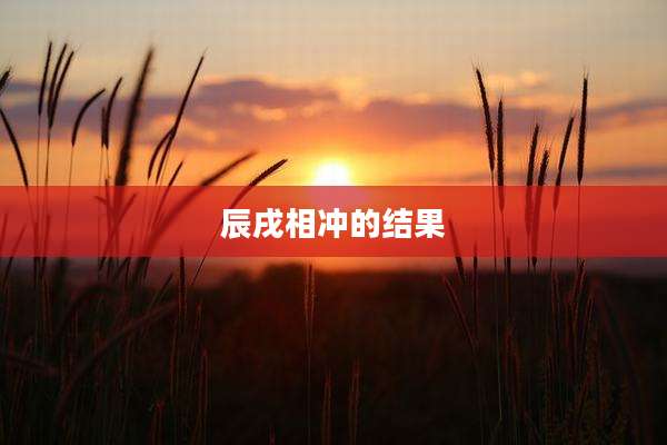 辰戌相冲的结果