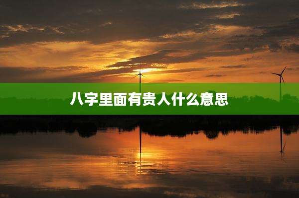 八字里面有贵人什么意思