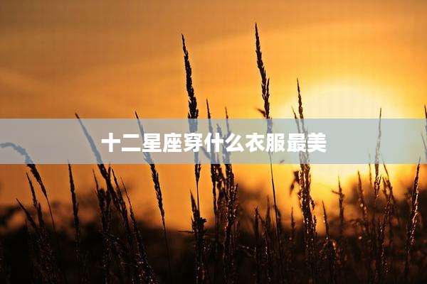 十二星座穿什么衣服最美