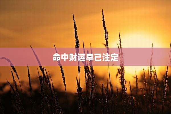 命中财运早已注定