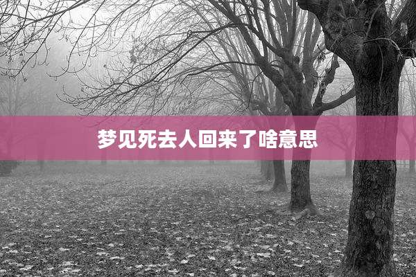 梦见死去人回来了啥意思