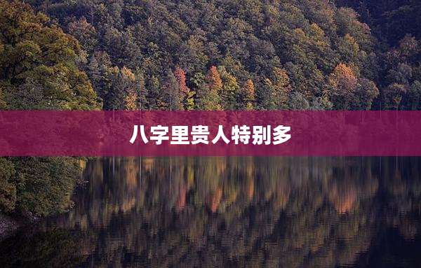 八字里贵人特别多