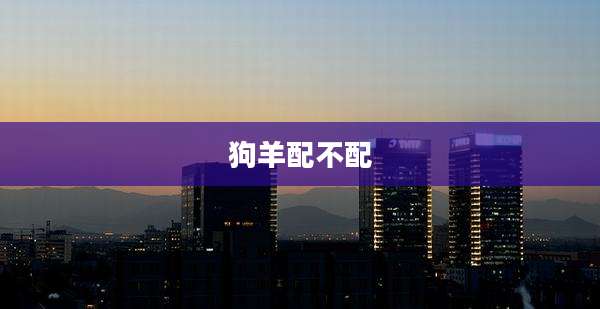 狗羊配不配