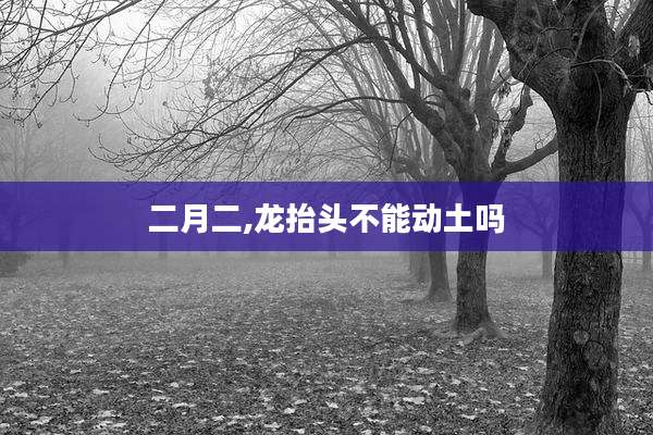 二月二,龙抬头不能动土吗