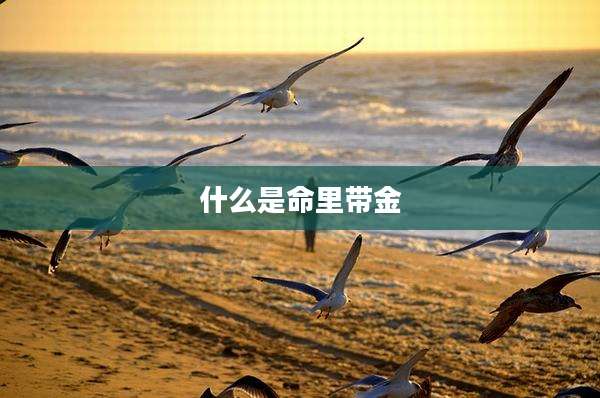 什么是命里带金
