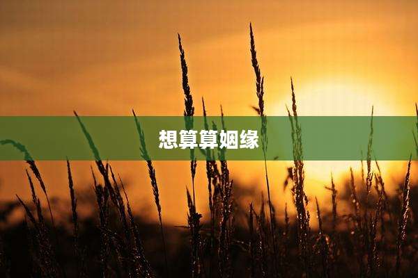想算算姻缘