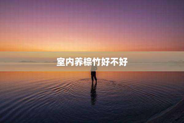 室内养棕竹好不好