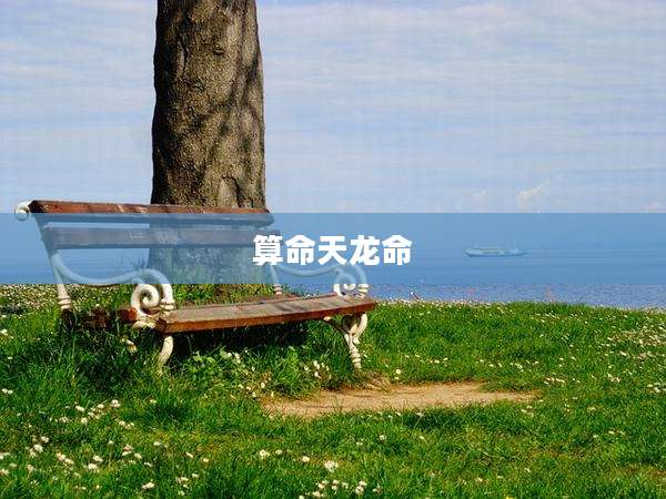 算命天龙命