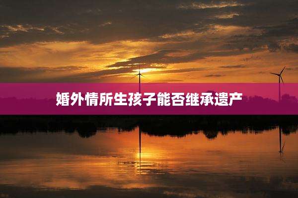 婚外情所生孩子能否继承遗产