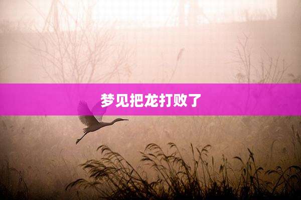 梦见把龙打败了