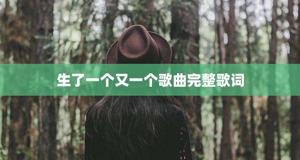 生了一个又一个歌曲完整歌词