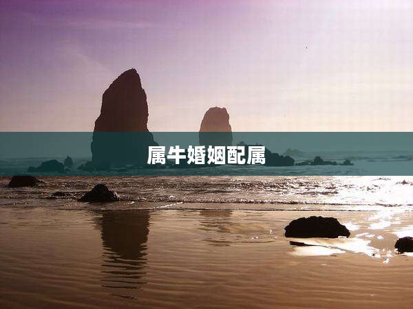 属牛婚姻配属