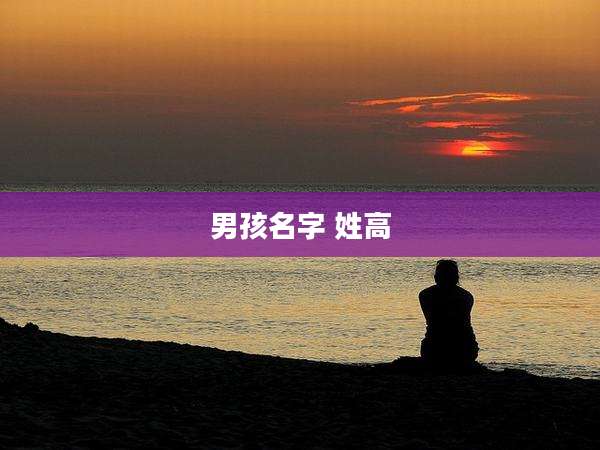 男孩名字 姓高