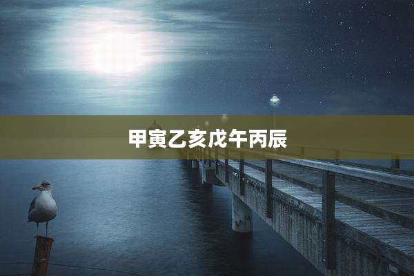 甲寅乙亥戊午丙辰