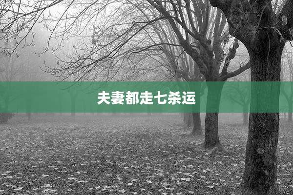 夫妻都走七杀运