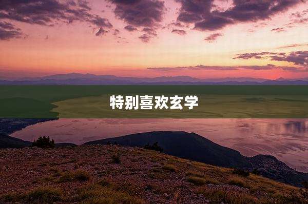 特别喜欢玄学