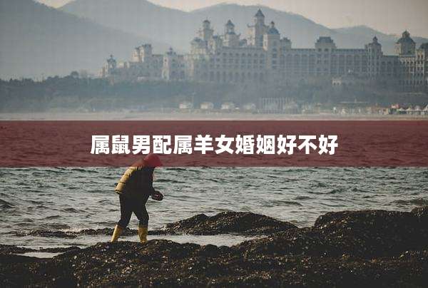 属鼠男配属羊女婚姻好不好
