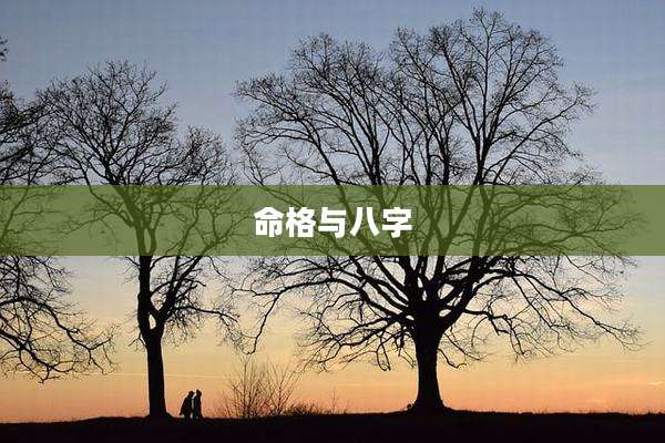 命格与八字