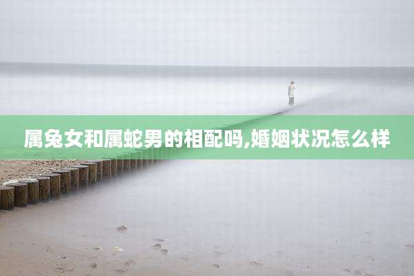 属兔女和属蛇男的相配吗,婚姻状况怎么样