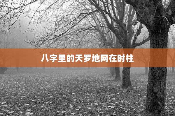 八字里的天罗地网在时柱