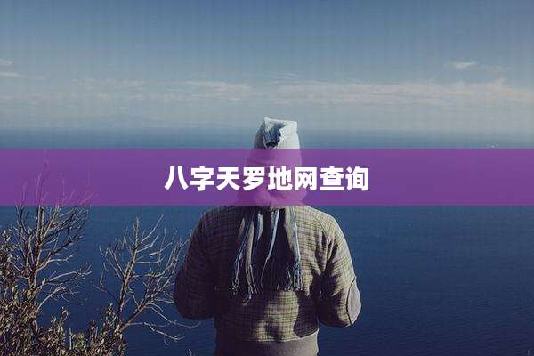 八字天罗地网查询