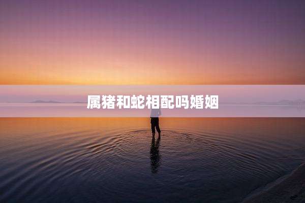 属猪和蛇相配吗婚姻
