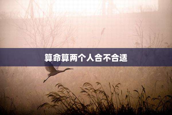 算命算两个人合不合适