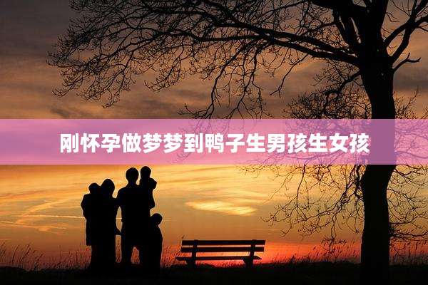 刚怀孕做梦梦到鸭子生男孩生女孩