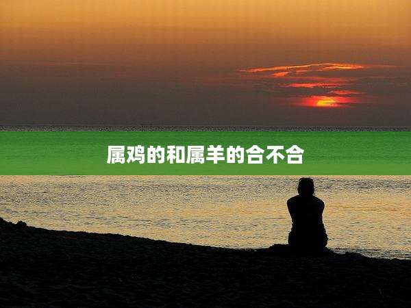 属鸡的和属羊的合不合