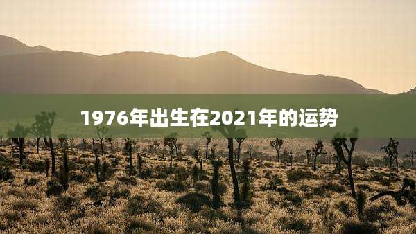 1976年出生在2021年的运势