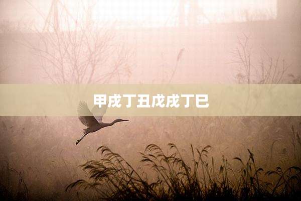 甲戌丁丑戊戌丁巳