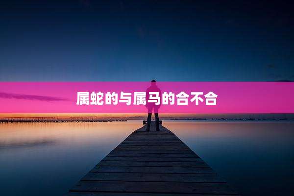 属蛇的与属马的合不合