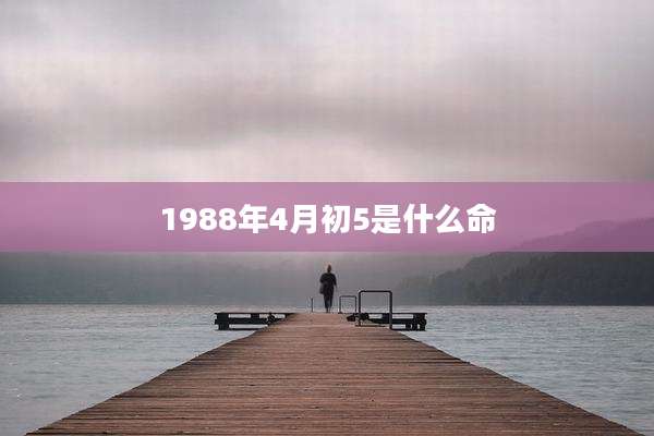 1988年4月初5是什么命