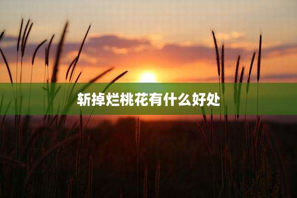 斩掉烂桃花有什么好处