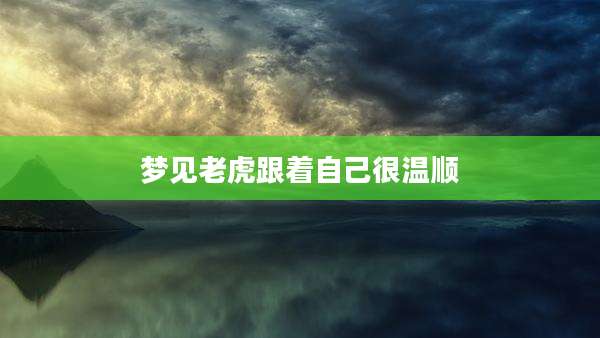 梦见老虎跟着自己很温顺