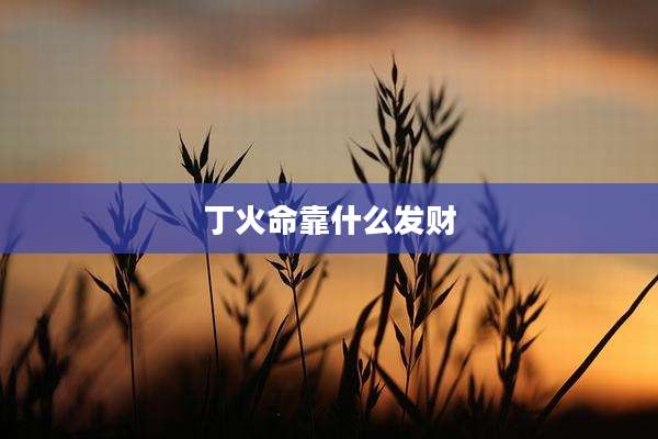 丁火命靠什么发财